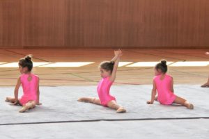 55887789_402485783871009_6648253128145633280_o